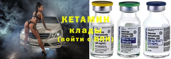 трава Аркадак