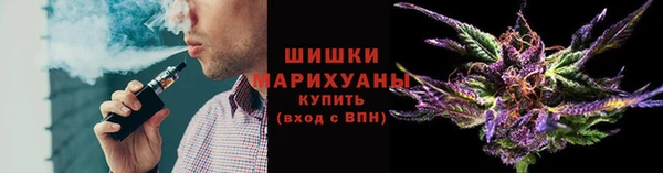 трава Аркадак