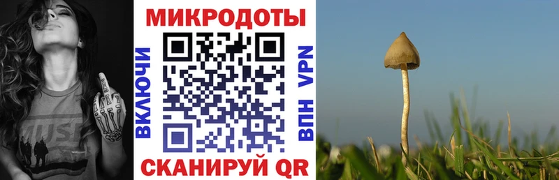 Купить закладки  Белгород  Псилоцибиновые грибы ЛСД 
