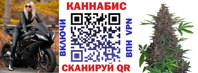 Купить закладки  Белгород  Каннабис White Widow 